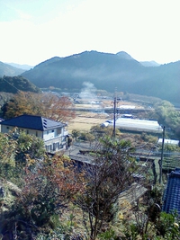 花粉症 2014/01/23 18:10:26