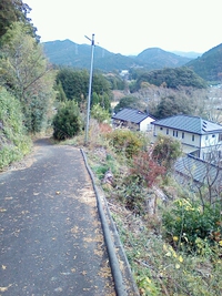 寒くなりました。 2013/12/12 09:54:29