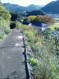 紅葉がすごくキレイです… 2013/11/21 17:45:24