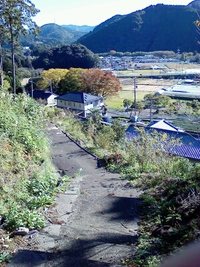 暖かな１日でした 2013/11/22 18:45:19
