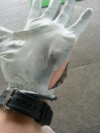 GWでした！ 2014/05/07 17:57:31
