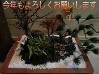 明けましておめでとうございます(^^) 2015/01/07 17:44:48