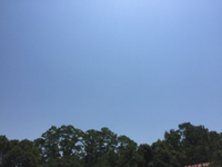 成長中 2015/05/27 18:41:18