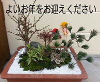 ありがとうございます(^^) 2014/12/30 17:43:35