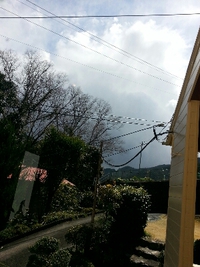 紫外線 2014/03/21 13:47:28