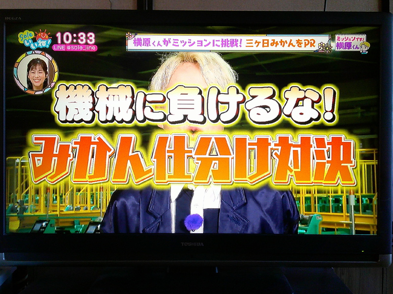 Soleいいね！20241210⑥