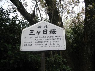 誘われて