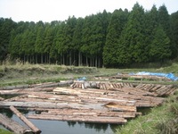 大津　宮内建築さん　02 2009/04/28 17:31:08