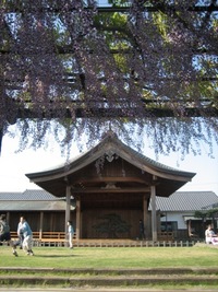 能舞台 2009/04/30 09:40:59