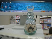 カナダ 2008/09/01 02:51:39