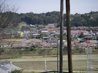 自転車の日々 2010/04/04 22:02:41