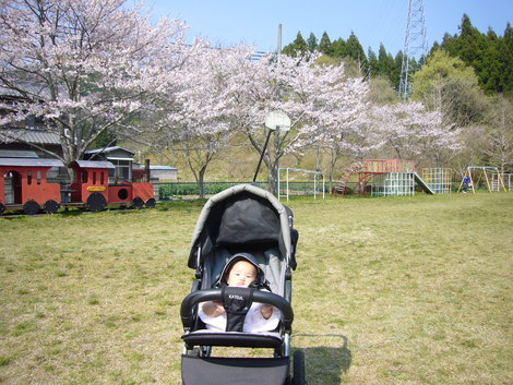 意外と身近なお花見スポット