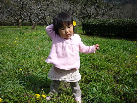 田舎の春はいいな☆