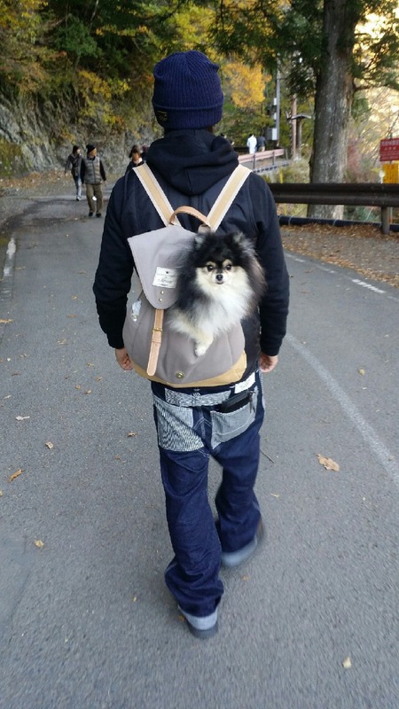 奥大井