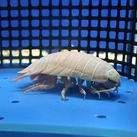 誕生会&竹島水族館