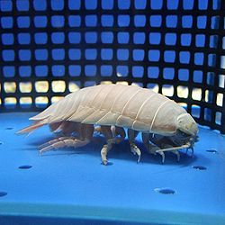 誕生会&竹島水族館
