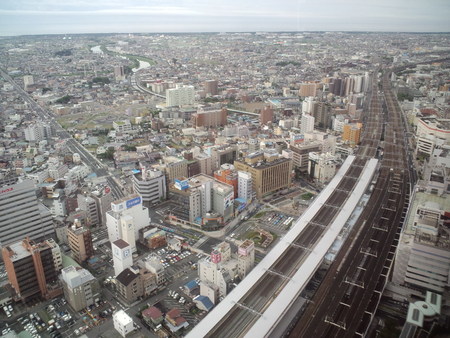 日曜日は　ビミョー　な　お天気だったわね・・