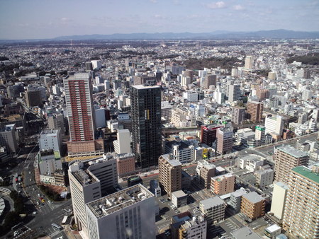 日曜日は　お天気も　良くっっ