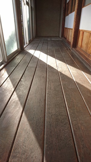 日向ぼっこ出来ますよ☀