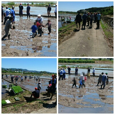 小学生vs農青連　in　田んぼ(≧▽≦)