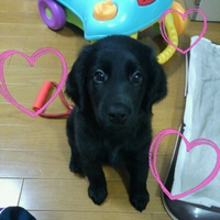 仲間入り♥ 2015/07/03 15:18:53