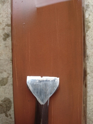 ノミ研ぎ！