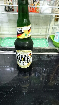 RADLER 2015/11/25 19:42:29