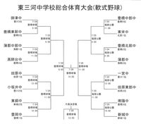 東三河中学校総合体育大会(軟式野球) 2014/07/22 20:19:00