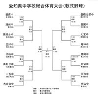 愛知県中学校総合体育大会（軟式野球） 2014/07/28 22:19:00