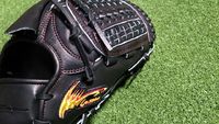 アイピーセレクト　キップレザー　投手用　ブラック 2014/04/16 21:29:00