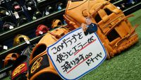 型付けのドナイヤが大人気！　 2014/10/04 20:59:00