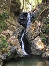 くんまの黒滝