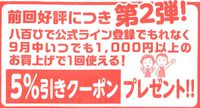 八百ひで便り！！