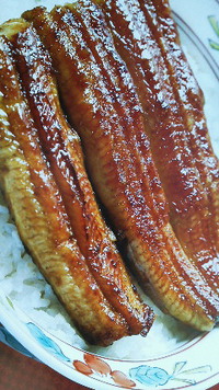 うなぎ蒲焼き
