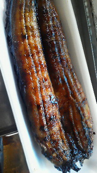 うなぎ蒲焼き