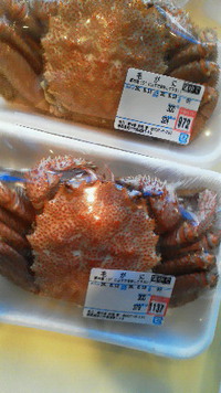毛がにの塩ゆで