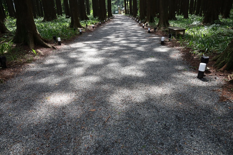 秩父宮記念公園へカメラ散歩