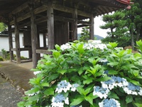 母のこと　その２
