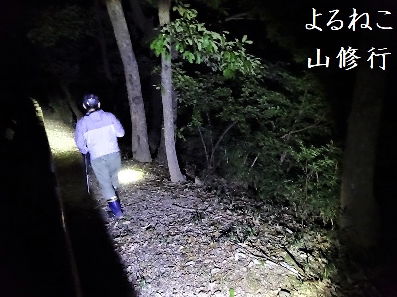 赤塚山　巡回