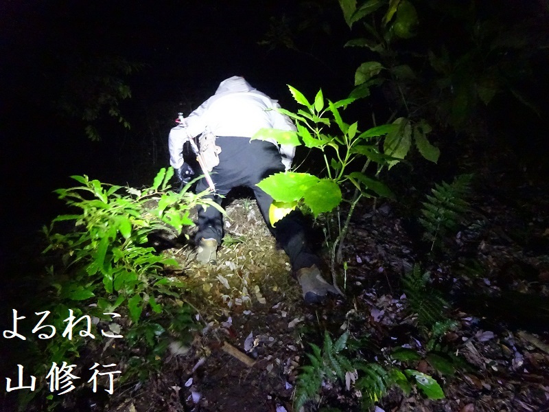 安全第一