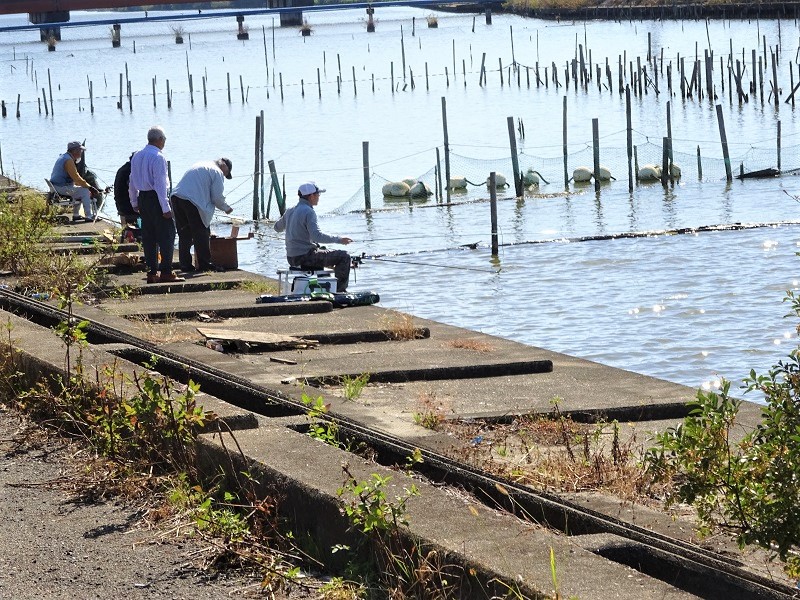 愛知県 木曽川の釣り場 逃がした魚は大きい