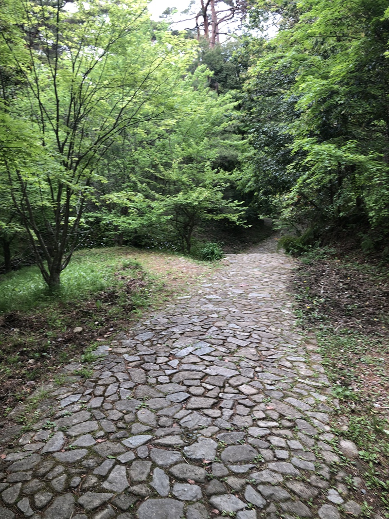 ウォーキング