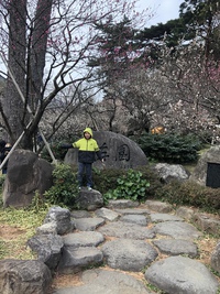 2月11日の記事 2019/02/11 20:23:45