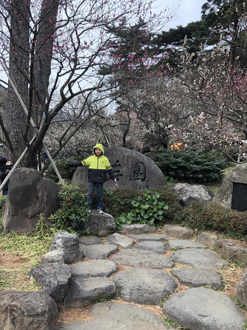 2月11日の記事