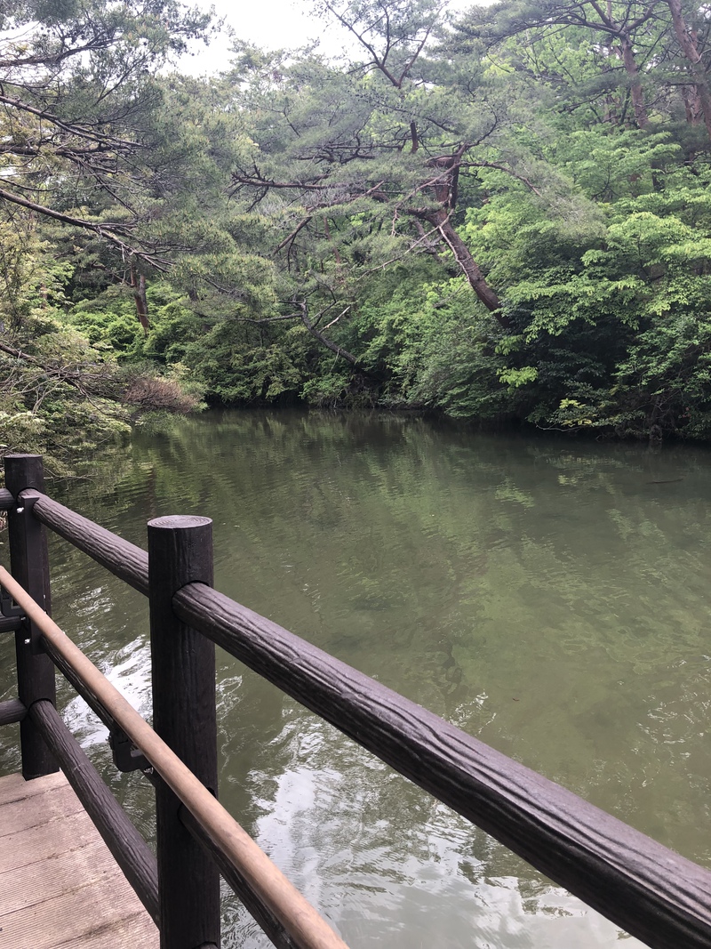 ウォーキング