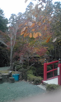 油山寺の紅葉。