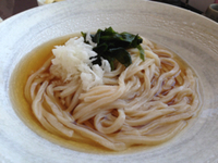 超おススメのうどん屋  『福桝屋』 さん