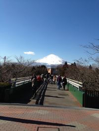 箱根旅行とカトープレジャーグループ 2013/01/29 20:01:35