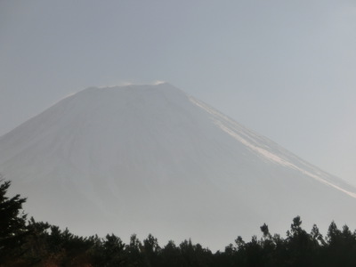 書も忘れて、山梨ヌーボー祭、もとい、勝沼醸造
