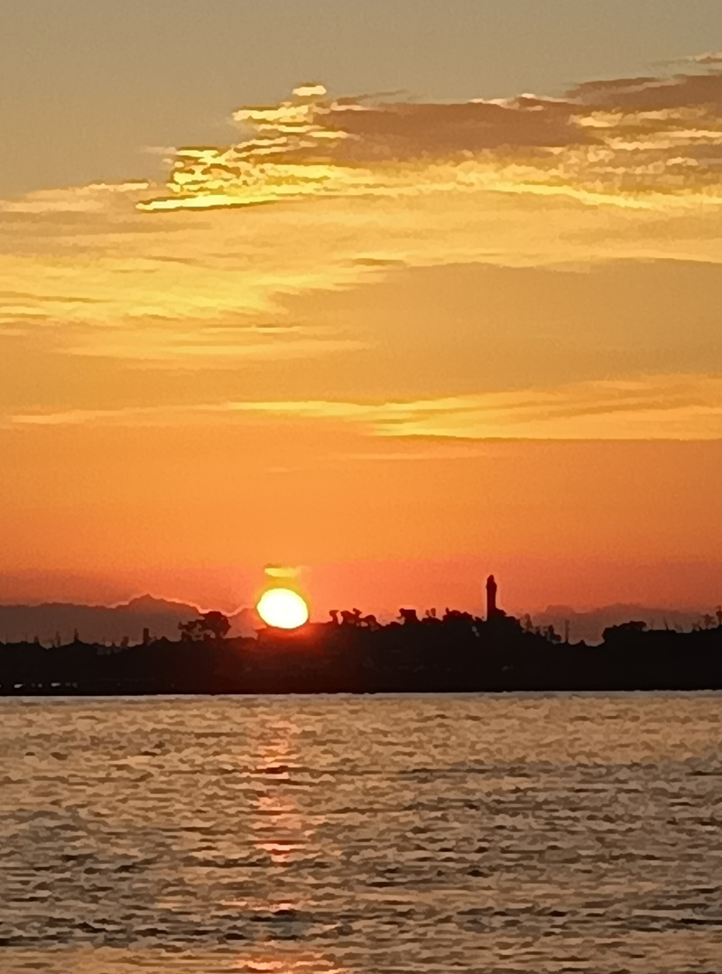 「海釣公園」のクエ♥いただきました〜(*^^*)